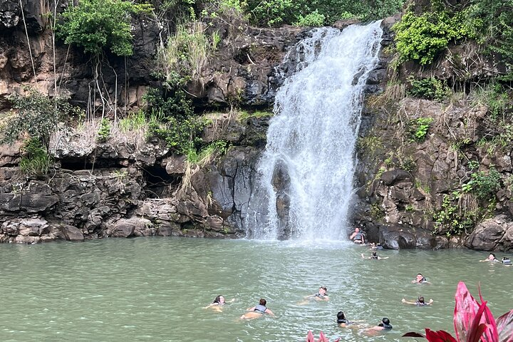 Waimea Water fall

